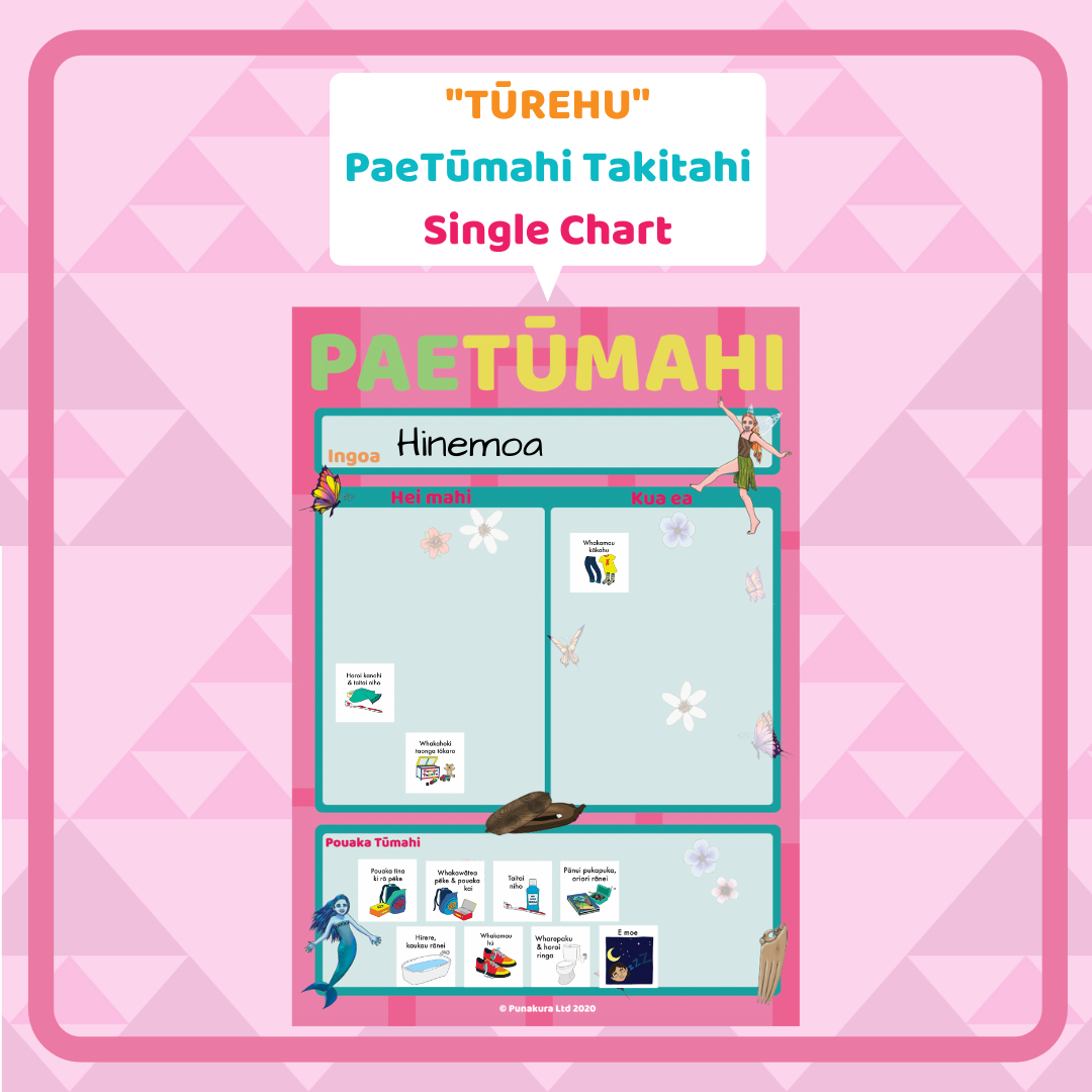 PaeTūmahi Takitahi (Single Organisation Charts)