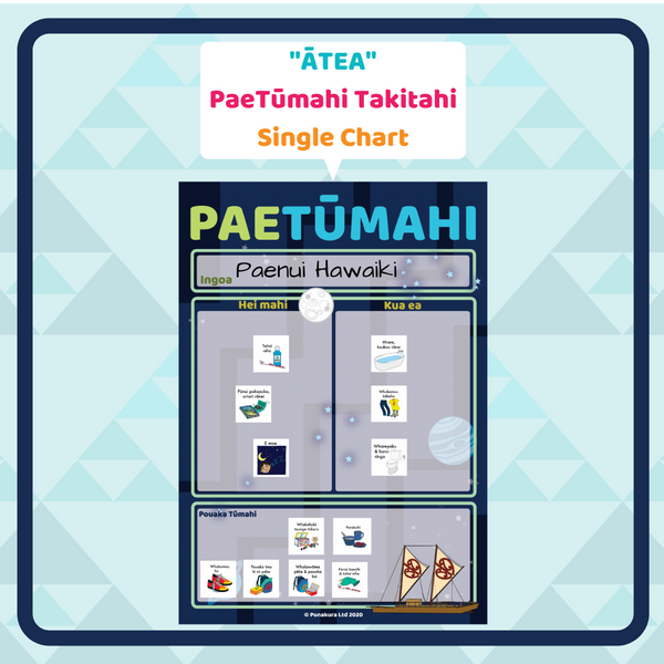 PaeTūmahi Takitahi (Single Organisation Charts)