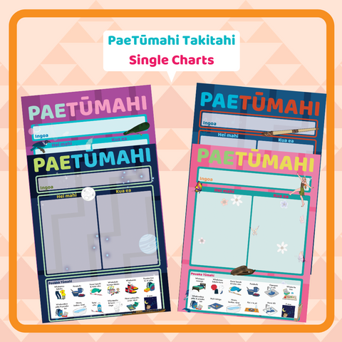 PaeTūmahi Takitahi (Single Organisation Charts)