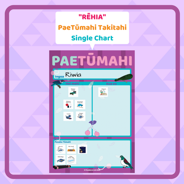 PaeTūmahi Takitahi (Single Organisation Charts)