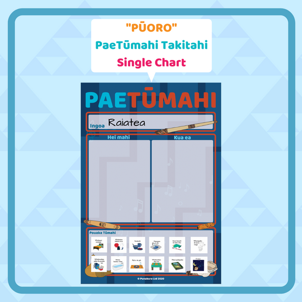 PaeTūmahi Takitahi (Single Organisation Charts)